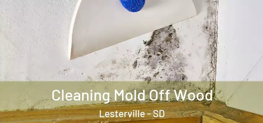  Cleaning Mold Off Wood Lesterville - SD
