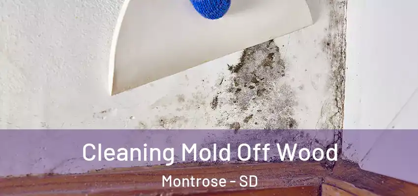 Cleaning Mold Off Wood Montrose - SD