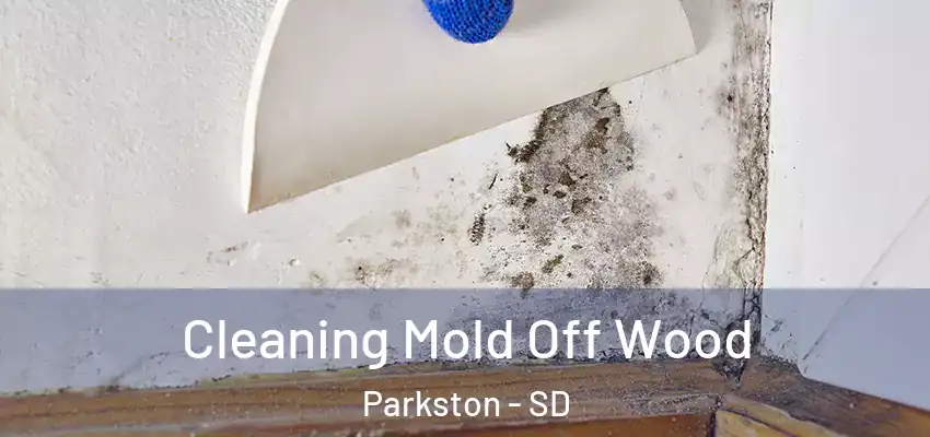  Cleaning Mold Off Wood Parkston - SD