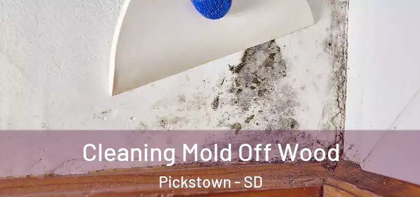  Cleaning Mold Off Wood Pickstown - SD