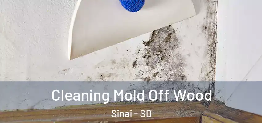 Cleaning Mold Off Wood Sinai - SD