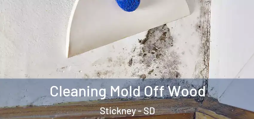 Cleaning Mold Off Wood Stickney - SD