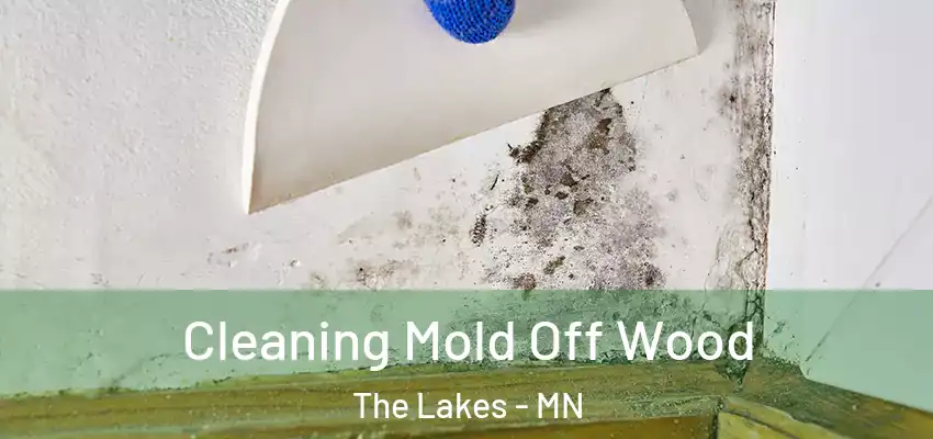 Cleaning Mold Off Wood The Lakes - MN