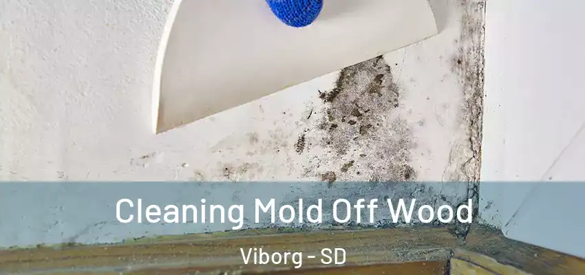  Cleaning Mold Off Wood Viborg - SD