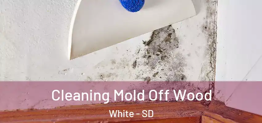  Cleaning Mold Off Wood White - SD