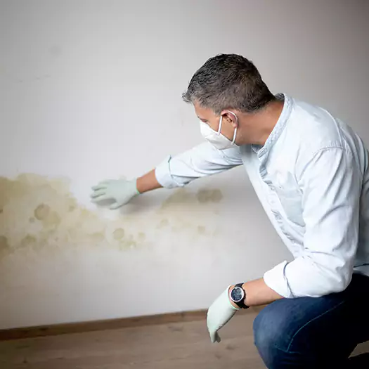 Trusted Mold Remediation and Removal Experts in Brookings, SD