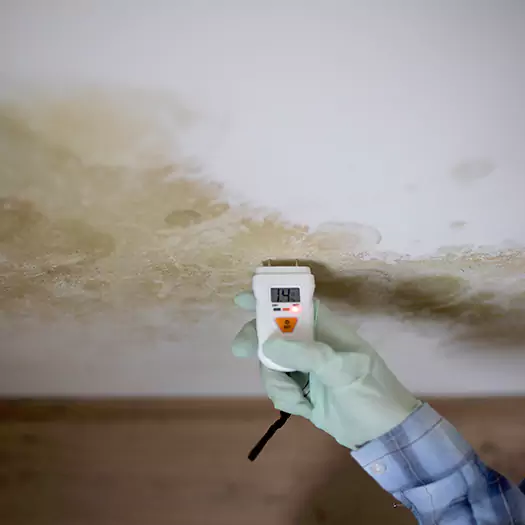 Reliable Mold Inspection Experts in Brookings, SD