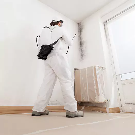 Experienced Mold & Mildew Specialists in Brookings, SD