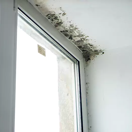 Trusted Mold on Bathroom Ceiling Experts in Brookings, SD