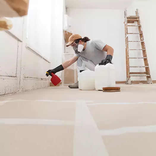 Reliable Mold Stain Remover Specialists in Brookings, SD