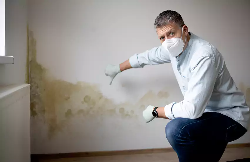 Mold Removal in Brookings, SD