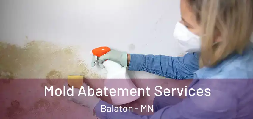  Mold Abatement Services Balaton - MN