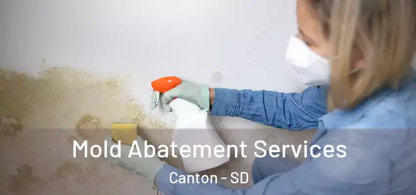 Mold Abatement Services Canton - SD
