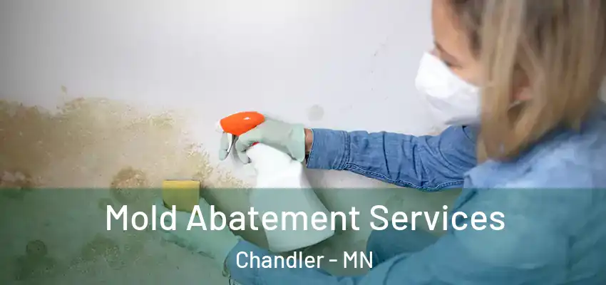 Mold Abatement Services Chandler - MN