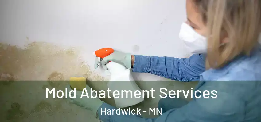 Mold Abatement Services Hardwick - MN