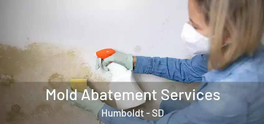 Mold Abatement Services Humboldt - SD