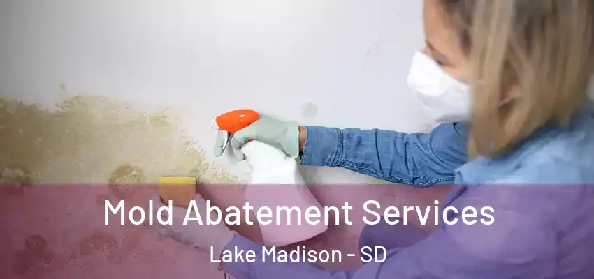  Mold Abatement Services Lake Madison - SD