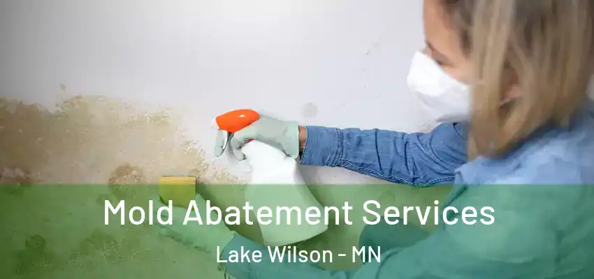 Mold Abatement Services Lake Wilson - MN