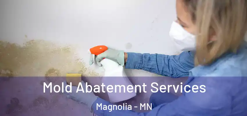 Mold Abatement Services Magnolia - MN