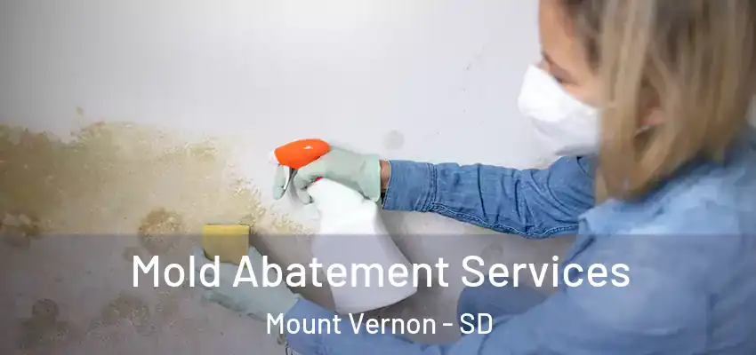 Mold Abatement Services Mount Vernon - SD