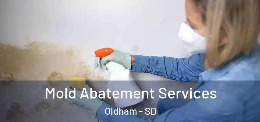  Mold Abatement Services Oldham - SD