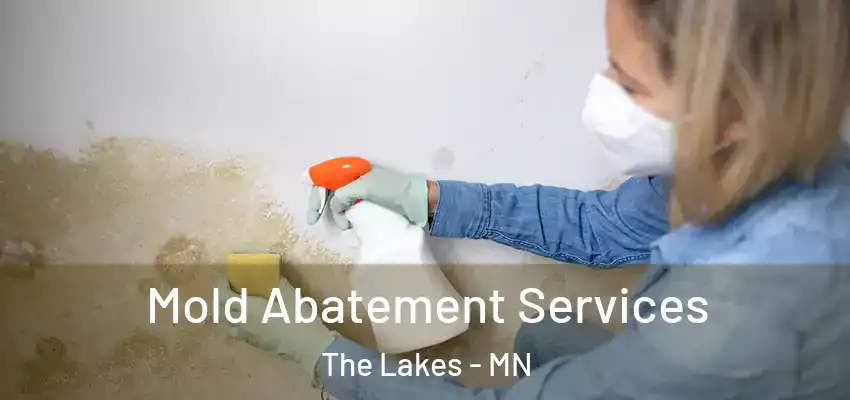  Mold Abatement Services The Lakes - MN