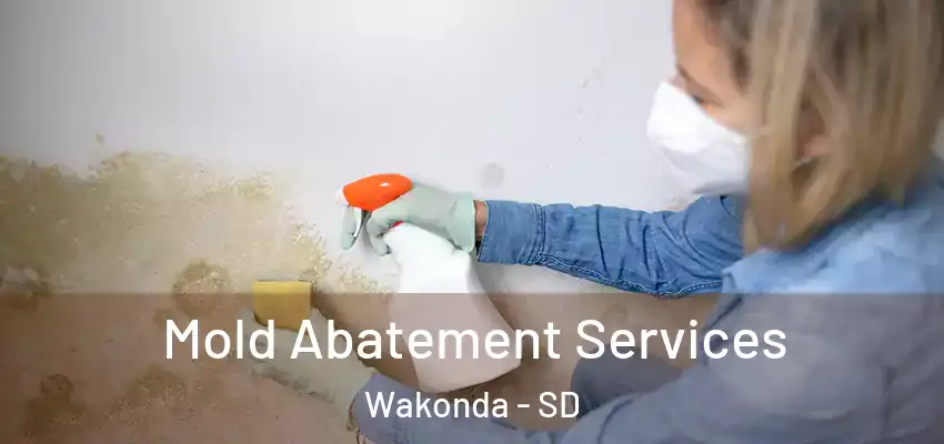  Mold Abatement Services Wakonda - SD