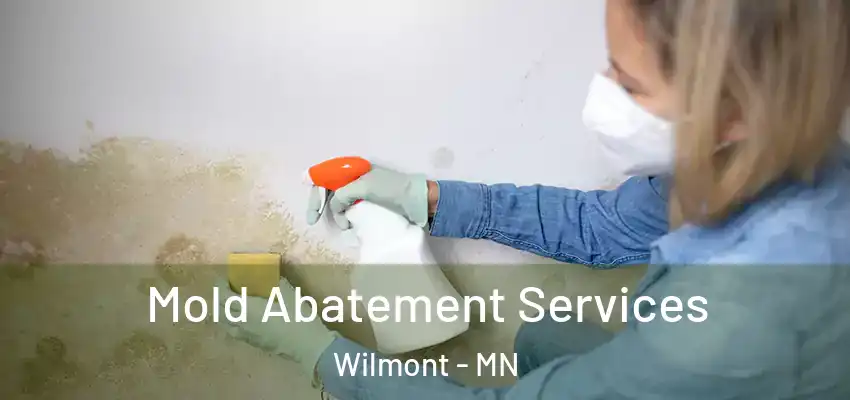  Mold Abatement Services Wilmont - MN