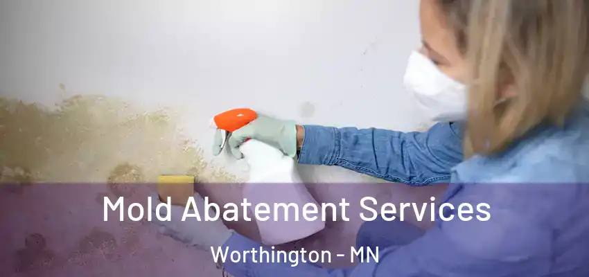  Mold Abatement Services Worthington - MN