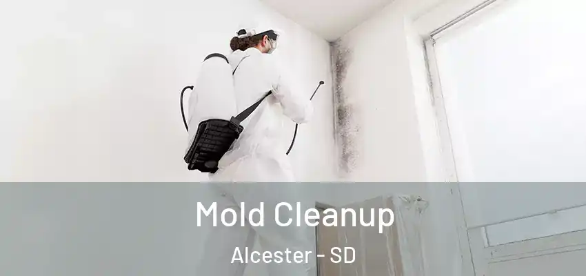  Mold Cleanup Alcester - SD