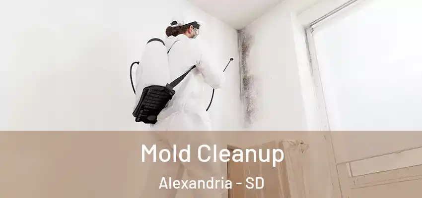  Mold Cleanup Alexandria - SD