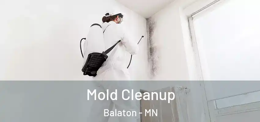  Mold Cleanup Balaton - MN