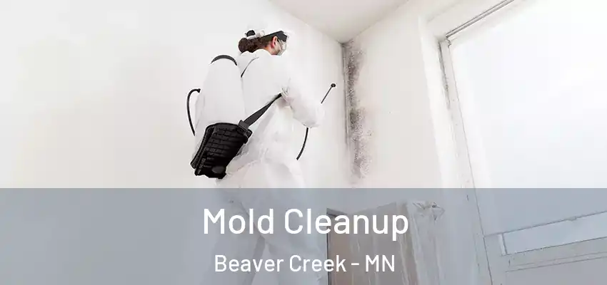 Mold Cleanup Beaver Creek - MN