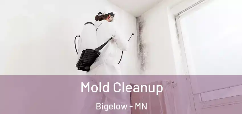Mold Cleanup Bigelow - MN