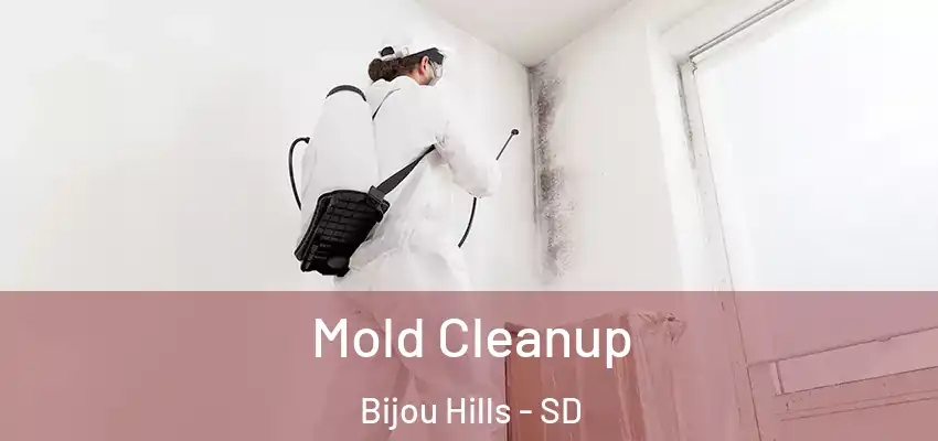  Mold Cleanup Bijou Hills - SD