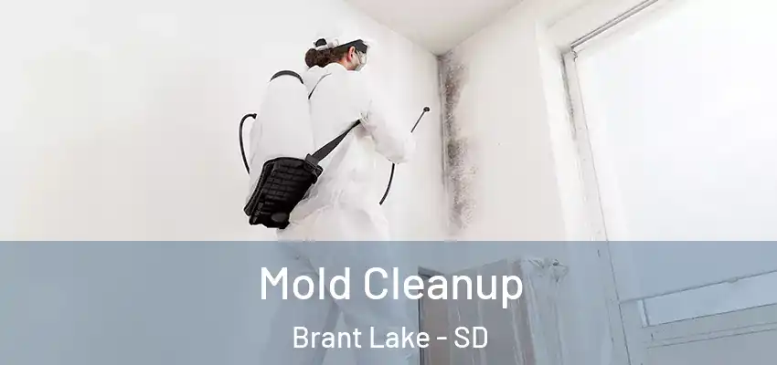 Mold Cleanup Brant Lake - SD