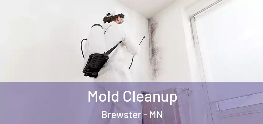 Mold Cleanup Brewster - MN