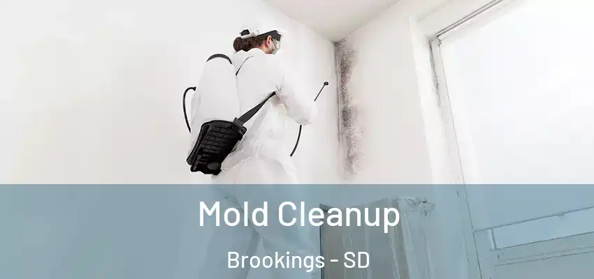 Mold Cleanup Brookings - SD