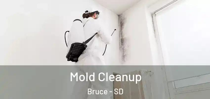 Mold Cleanup Bruce - SD