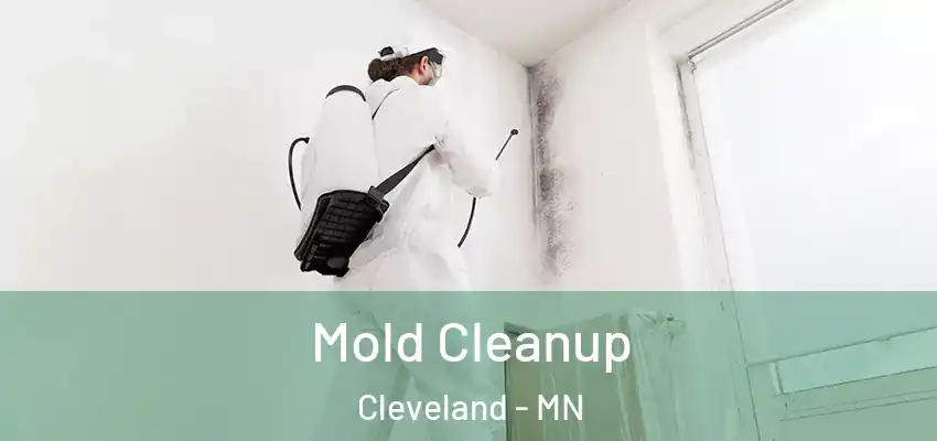  Mold Cleanup Cleveland - MN