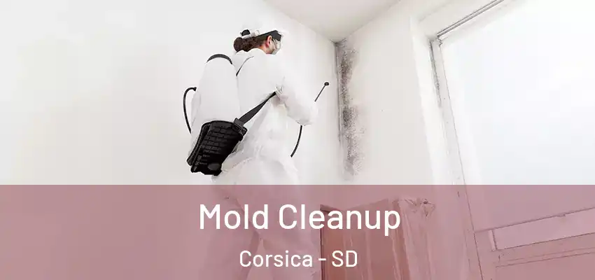 Mold Cleanup Corsica - SD