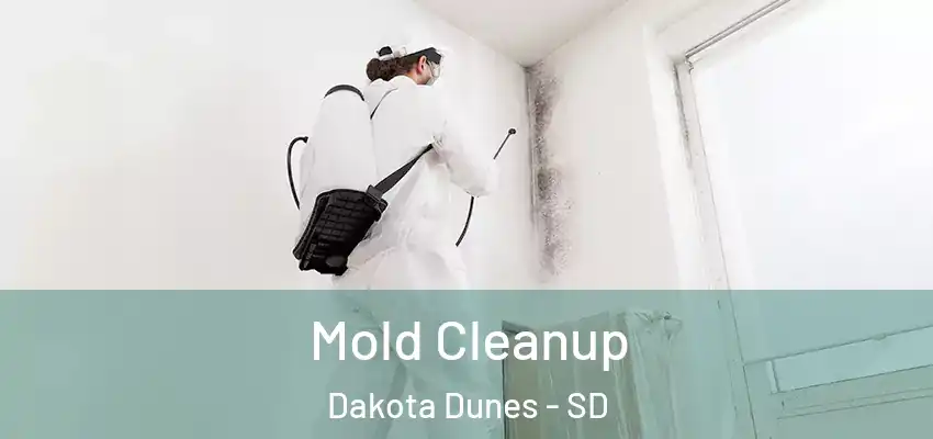 Mold Cleanup Dakota Dunes - SD