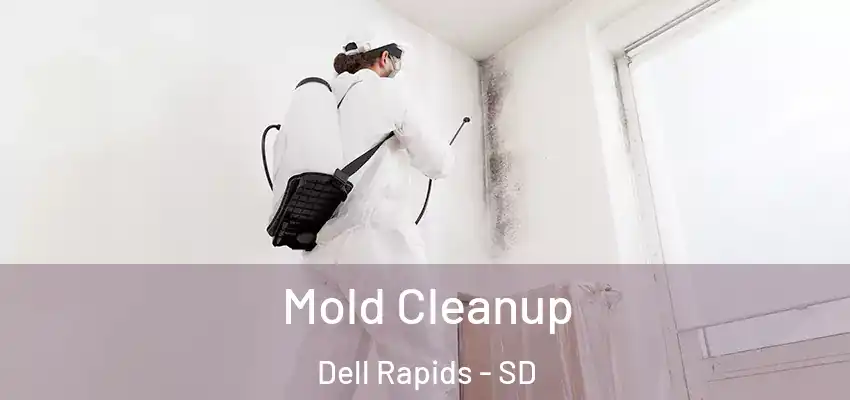  Mold Cleanup Dell Rapids - SD