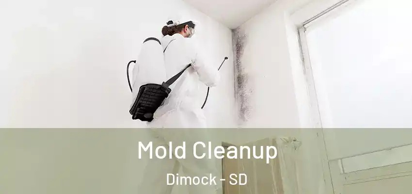 Mold Cleanup Dimock - SD