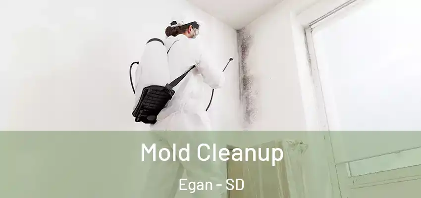  Mold Cleanup Egan - SD