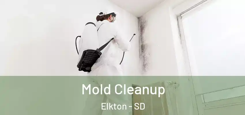  Mold Cleanup Elkton - SD