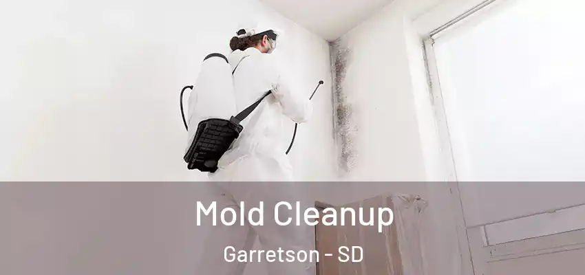  Mold Cleanup Garretson - SD