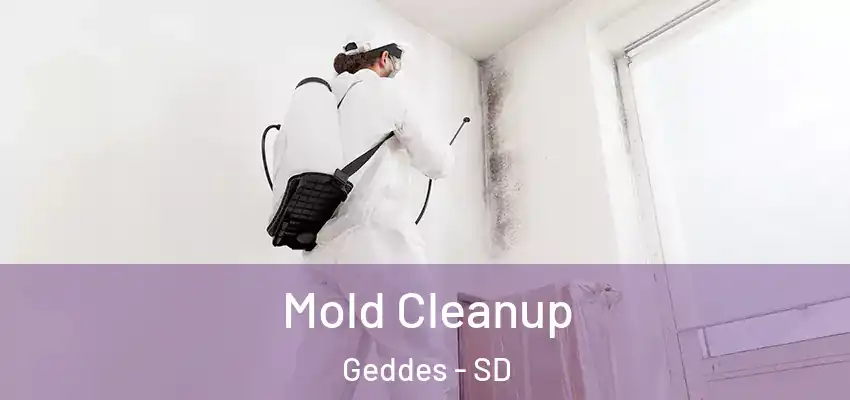  Mold Cleanup Geddes - SD
