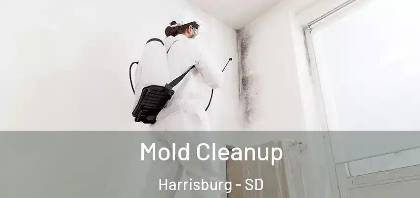 Mold Cleanup Harrisburg - SD