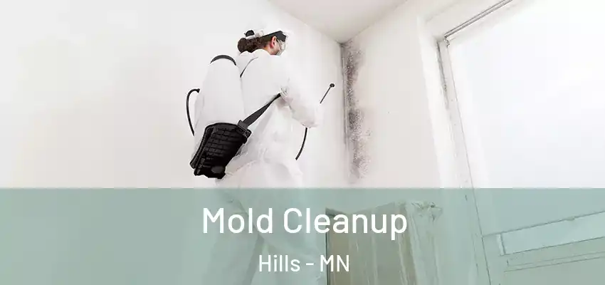 Mold Cleanup Hills - MN